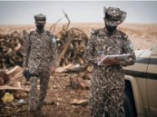 ارتكبوا مخالفات رعي.. القوات الخاصة للأمن البيئي تضبط (45) مخالفًا لنظام البيئة