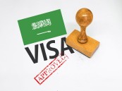 إتاحة التأشيرة السياحية إلكترونيًا لـ 6 شرائح جديدة