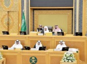 الشورى يطالب وزارة الرياضة بتكثيف الرقابة على المراكز الرياضية والأكاديميات