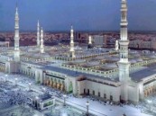 حرصًا على احترام المسجد النبوي.. الرئاسة العامة تقيم محاضرة لمقدمي الخدمة للناطقين بغير اللغة العربية