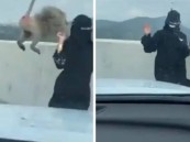 بالفيديو.. شاهد قرد يهاجم فتاة خلال تصويرها السحاب