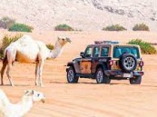 ‎ضبط (54) مخالفًا لنظام البيئة لارتكابهم مخالفات رعي