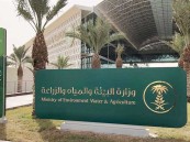 لتجنب حرائق الغابات.. “البيئة” تدعو إلى التقيد بالإرشادات تزامنًا مع ارتفاع درجات الحرارة