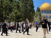 مستوطنون يقتحمون المسجد الأقصى