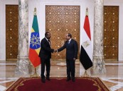 بشأن سد النهضة الأثيوبي.. “التعاون الإسلامي” ترحب بالشروع بمفاوضات بين مصر وأثيوبيا