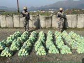 حرس الحدود يحبط محاولة تهريب 195 كيلوجرامًا من نبات “القات المخدر”