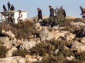 تفاصيل الإعصار “دوكسوري”.. أضرار لأكثر من 880 ألف من سكان مقاطعة فوجيان الصينية