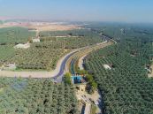 ماهي الأسباب التي تجعل الأحساء أعلى مدن المملكة في درجة الحرارة؟! تعرّف عليها هُنا