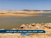 حادث مأساوي.. شقيقان يلقيان حتفهما غرقًا في حفرة مائية (فيديو)