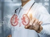 كيفية حماية الكلى من التدهور؟.. 3 عادات غذائية مهمة