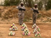 حرس الحدود بجازان يحبط تهريب (92) كيلوجرامًا من نبات القات المخدر