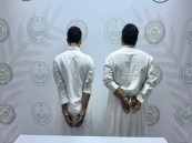 ضبط شخصين بتهمة ترويج مواد مخدرة بالشرقية