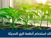 “البيئة” تحدد أنجح أنظمة الري الموفّرة لاستهلاك المياه في الزراعة المنزلية