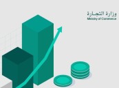 شروط إيداع القوائم المالية للشركات ذات المسؤولية المحدودة.. “التجارة” توضح