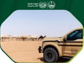 القوات الخاصة للأمن البيئي تضبط (31) مخالفًا لنظام البيئة.. الغرامة تنتظرهم