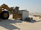 بالصور.. إزالة أكثر من 500 حظيرة ومخيم عشوائي بالأحساء