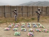 حرس الحدود يحبط تهريب (110) كيلوجرامات من نبات القات المخدر