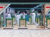 مزرعة بولندية تعقد 18 صفقة بيع في أول يوم للمزاد الدولي لمزارع إنتاج الصقور