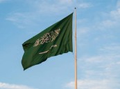 ستكون مقرًا له.. المملكة تستضيف مركز الأمم المتحدة العالمي للبيئة الحاضنة للمعلومات الجيومكانية