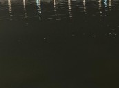 في الأحساء .. وفاة طفل غرقًا في مستنقع مياه