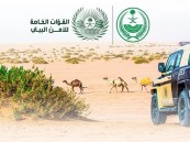 ضبط (39) مُخالفا لنظام البيئة لإشعالهم النار في أراضي الغطاء النبات