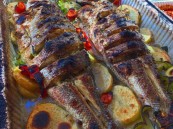 بالفيديو.. عريس يكسر الروتين ويفاجئ ضيوفه بسمك على العشاء بدلًا من الذبائح