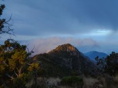 أجواء باردة رغم حرارة الصيف.. عسير والباحة تخطف الأنظار من مدن أوروبا الملتهبة
