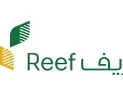 برنامج “ريف”.. إنجازات وخطط طموحة لدعم التنمية الريفية المستدامة