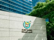 لمحبي تركيا.. خصومات كبيرة لدى “العرب السياحية” ستضيف لصيفك جمالا