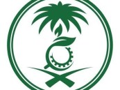 “الالتزام البيئي” يطلق منصة تلزم المنشآت بتقديم التقارير البيئية