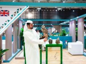 مزرعة بريطانية تقدم 17 صقراً من إنتاج صقور فائزة بسباقات في المزاد الدولي لمزارع الإنتاج