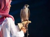 المزاد الدولي لمزارع إنتاج الصقور يختتم فعالياته بمبيعات تجاوزت 8 ملايين ريال لقاء 642 صقرًا