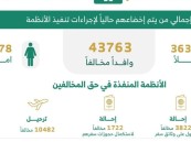 خلال أسبوع.. ضبط (15114) مخالفًا لأنظمة الإقامة والعمل وأمن الحدود
