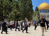 مستوطنون يقتحمون ساحات المسجد الأقصى