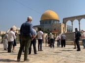 المملكة تدين تكرار الممارسات الاستفزازية من المتطرفين للمسجد الأقصى