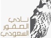 غدًا.. نادي الصقور السعودي يُطلق النسخة الخامسة لمعرض الصقور والصيد السعودي الدولي