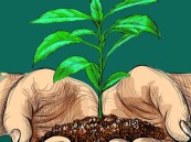 وزارة العدل تؤكد صرف 14 مليون ريال للمستفيدين من صندوق النفقة