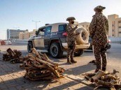 ضبط (9) مخالفين لنظام البيئة لنقلهم وبيعهم حطبًا وفحمًا محليين