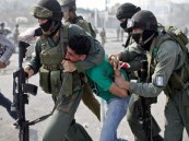 قوات الاحتلال الإسرائيلي تعتقل 31 فلسطينياً في الضفة الغربية