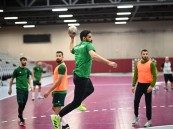 أخضر اليد في مواجهة قطر