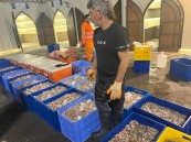 لأول مرة رُخص صيد روبيان للقوارب الصغيرة.. والإستزراع السمكي المغلق يزيد الإنتاج ثلاثة أضعاف