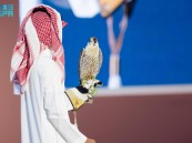 310 آلاف ريال قيمة صقرين في الليلة الـ 17 لمزاد نادي الصقور السعودي