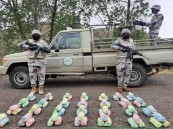 حرس الحدود يقبض على (6) مخالفين لمحاولتهم تهريب (120) كيلوجرامًا من نبات القات المخدر