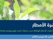 بـ34.2 ملم في حفر الباطن.. الشرقية تسجّل أعلى كمية لهطول الأمطار بالمملكة