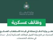 وظائف شاغرة في وزارة الدفاع للنساء والرجال.. لحملة الدبلوم فأعلى