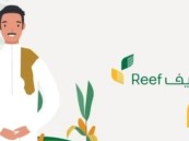 ريف يعلن موعد إعلان نتائج الأهلية