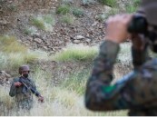 بينهم 12 متورطاً في جرائم موجبة للتوقيف.. ضبط 17556 مخالفًا خلال أسبوع