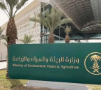 السداد خلال 60 يوما.. لائحة جديدة لتعويض الأضرار البيئية تلزم المتسببين بإعادة التأهيل 