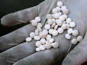 السجن والغرامة لمواطن ووافديَن بتهمة تلقي ربع مليون حبة “الكبتاجون” المخدرة