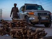 القوات الخاصة للأمن البيئي تضبط (5) مخالفين لنظام البيئة لنقلهم وبيعهم وتخزينهم حطبًا محليًا